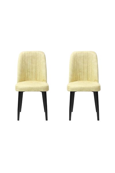 ARTA DOOR Set of 2 Artemis Chairs Black Leg