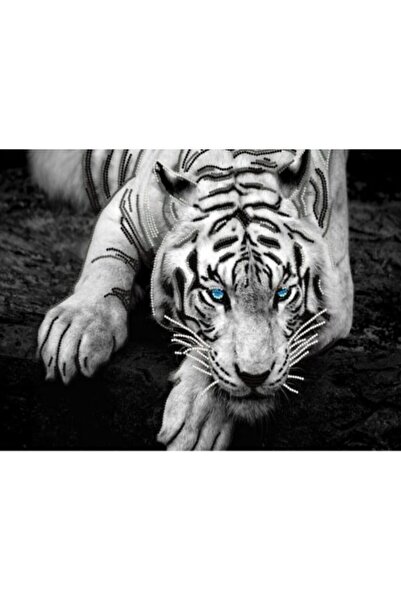 OEM Covor Antiderapant, Tiger, Multicolor, 80x150cm