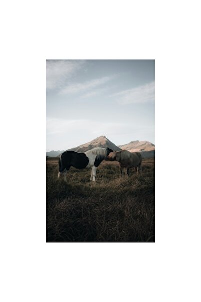 OEM Pictură pe pânză, „Întâlnire de cai în amurg”, Cai, Munți, Dealuri, Cer, Iarbă, Libertate, N