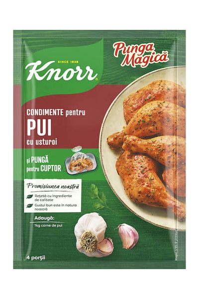 Knorr Knorr Magic Bag, chicken steak seasoning mix with garlic, 28g