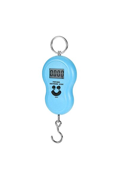 OEM Portable Electronic Scale, 50kg