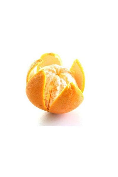 HENDI Nóż do obierania cytrusów ze stali nierdzewnej - 856055