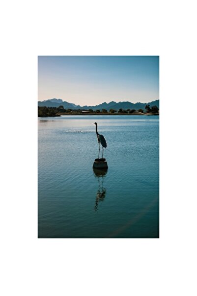 OEM Pictură pe pânză, „Statuie de pasăre într-un apus senin”, 50 x 70cm