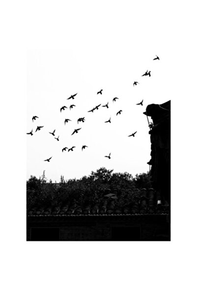 OEM Pictură pe pânză „Zbor de păsări peste acoperișuri vechi”, 100 x 100cm