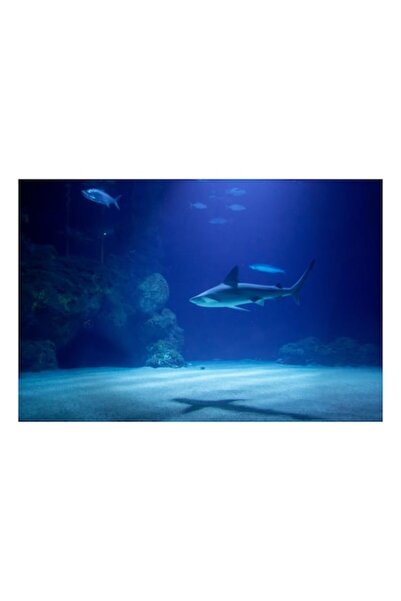 OEM Tablou Canvas, „Umbra tăcută a adâncurilor oceanului”, Rechin, Ocean, Albastru, Lumină, Umbre, Coral, Pește, D