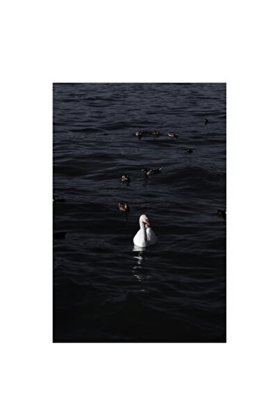 OEM Tablou Canvas, "Linistea lacului in amurgul serii", 39 x 54cm