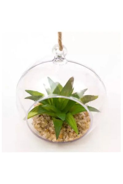OEM Glob Plastic Terariu, rotund, 12 cm