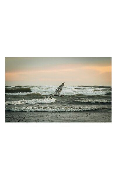 OEM Tablou Canvas, "Pescarusul si valurile inspumate", 100 x 70cm