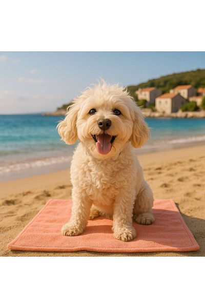 Oli and Lui Oil & Water Proof Foldable Dog Mat