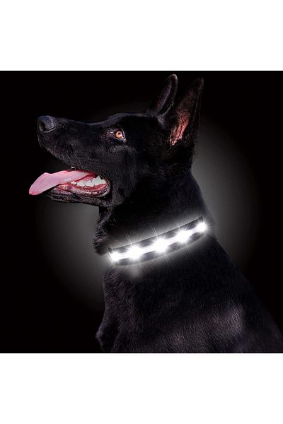 Gomyyard dog collar, LED, nylon, black/white, size XS