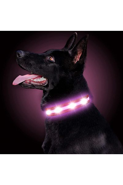 Gomyyard Zgardă pentru câini, LED, nailon, negru/roz, mărimea L
