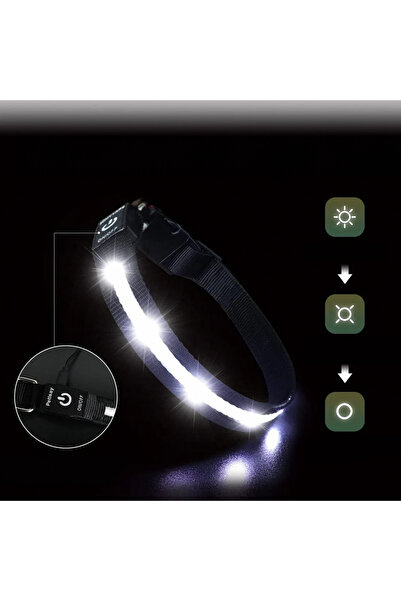 Gomyyard dog collar, LED, nylon, black/white, size S