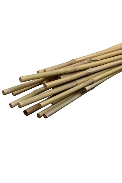 PROCART Bamboo stake for plant support, diameter 14 mm, length 180 cm