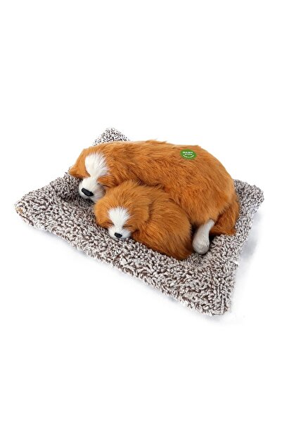 OEM Plus Toy with Puppies 3.27x22cm