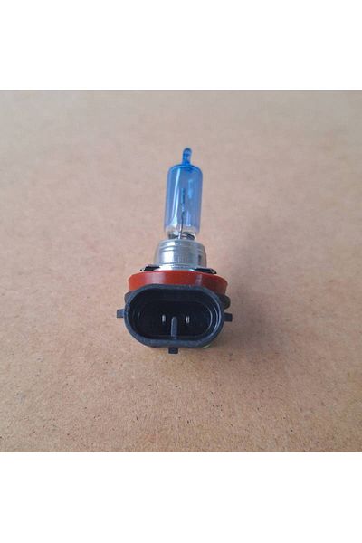 BGRJ Automotive Halogen bulbs H11 100W, Xenon Look, 12V, 5000K light