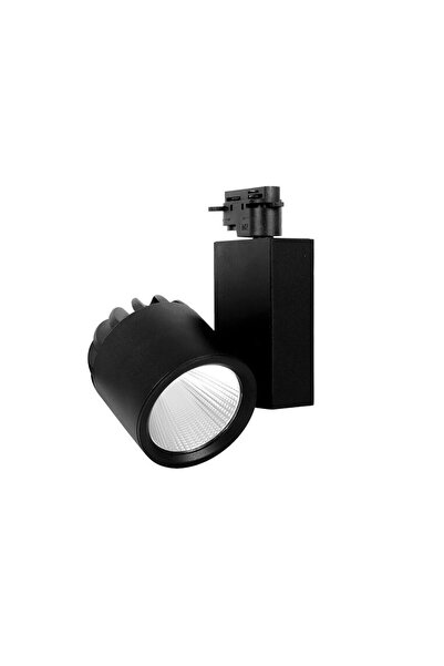Braytron SPOT LED PE SINA NEGRU 4000K 30W 2660LM COB BRPLUS