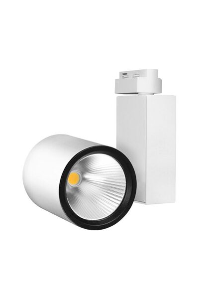 Braytron Spot LED PE SINA ALB 3000K 30W 2660LM COB BR PLUS