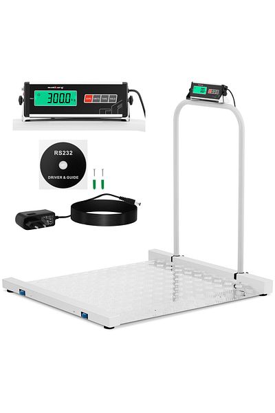 Steinberg Systems Cântar platformă pentru depozit 100 x 95 cm LCD RS232 300 kg / 100 g