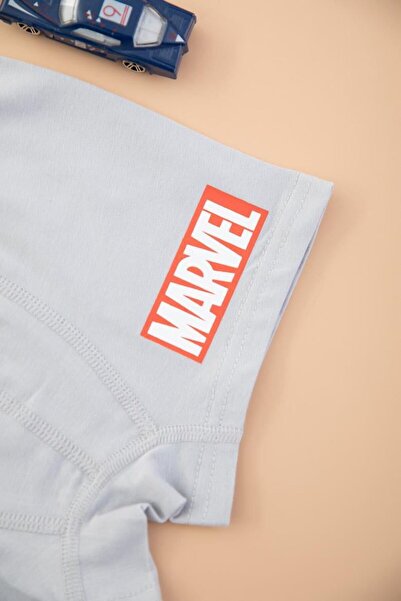 Ugly Duck Boy's Licensed 2-Piece Boxer - Multicolor