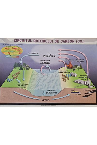 Editura Rovimed Publishers The carbon dioxide cycle in nature (format 1)