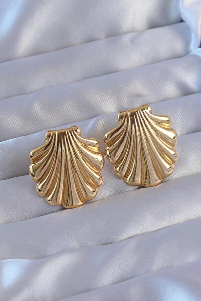 Generic Brand Steel Oyster Model Earrings / Gold