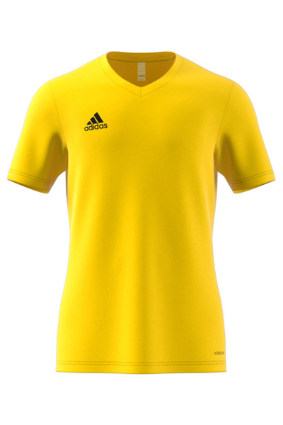 adidas Men's Training T-shirt Suitable for Daily Use and Sports Comfortable Plain T-Shirt