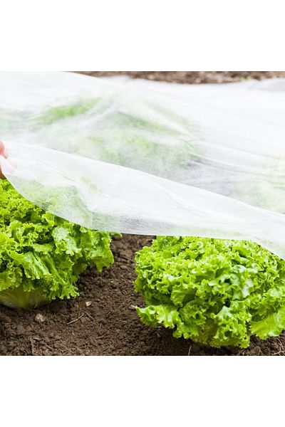 OEM Agril microporous foil, anti-frost and pest, roll 1.6x20 m, 17 g/sqm, field/greenhouse