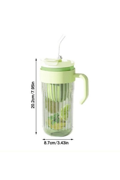 LDA Water bottle with fruit infuser, reusable straw, lid with handle, 580 ml, various colors