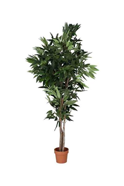 Dongli Artificial Mango Plant with Pot