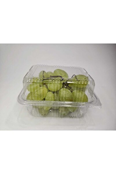 Talia Plastik 500 cc PEYNİR KABI 100 ADET SIZDIRMAZ TEK KULLANIMLIK SAKLAMA KABI