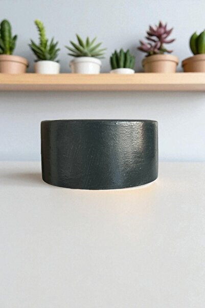 MF Botanik Kaktüs Aranjman Kaktüs ve Bonsai Saksı Saksılık