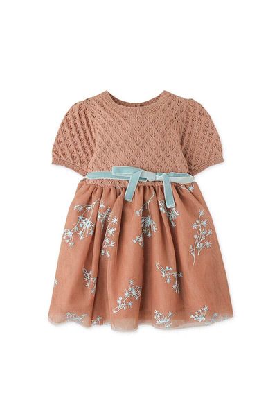 Gingersnaps Girls' Floral Print Ruffled Dress for Infants