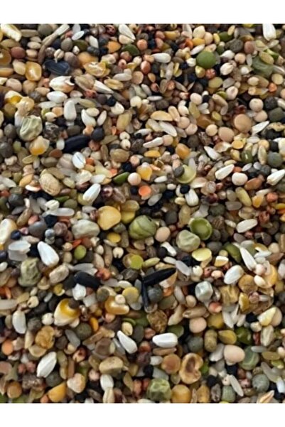 BL BİL-AL Yem ve Yem Katkı Maddeleri Ekonomik Karışık Güvercin Yemi 20 Kg