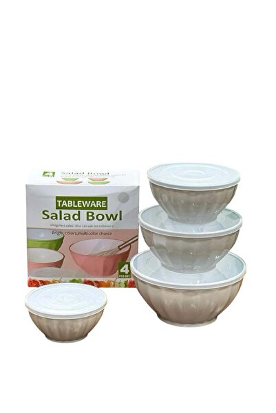 Basra yöresel مجموعة من 4 أوعية خلط بلاستيكية مع أغطية - وعاء لتحضير الطعام وتقديمه، وعاء سلطة متداخل،