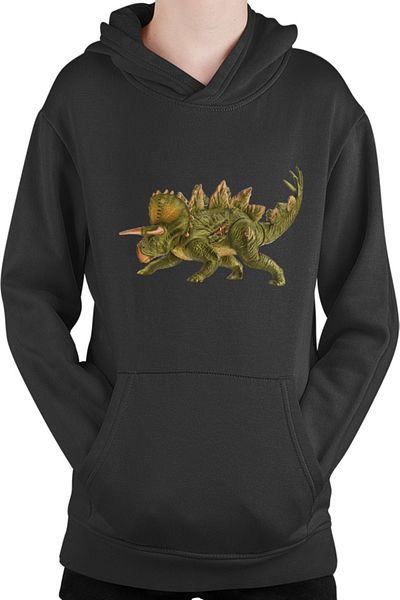 OEM Kids' sweatshirt Jurassic Park Velociraptor Spinosaurus Isla Nublar