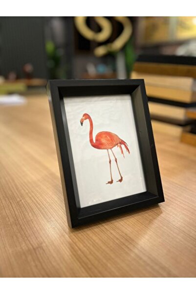 PINALE ART Siyah Fotoğraf Çerçevesi 2'li Set 15x21cm