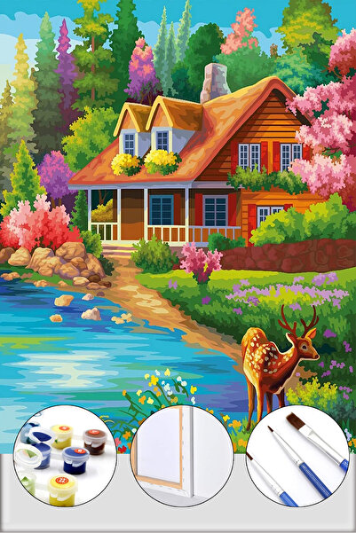 İZSA HOBİ Sayılarla Boyama Hobi Seti 40x50 Çerçeveli Numaralı Tuval Fırça Boy...