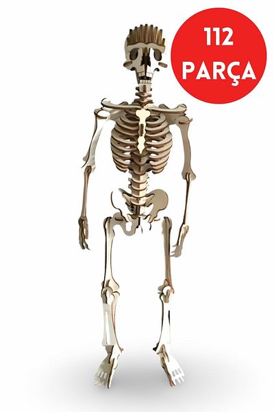 ALGWOOD Wooden Human Skeleton Model | 112 Piece 3D Puzzle Hobby Set - Anatomical Wooden Skeleton 3D Puzzle