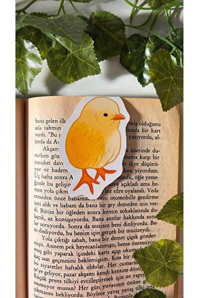 Handeto Kraft علامة مرجعية مغناطيسية على شكل كتكوت، علامة مرجعية مغناطيسية، علامة مرجعية مغناطيسية