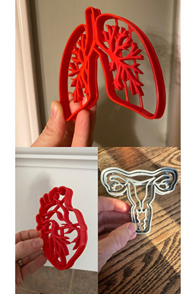 Tasarım قالب البسكويت التشريحي