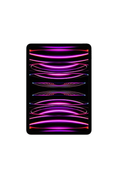 Apple 2022 11-inch iPad Pro 4th Generation Wi-Fi 1TB - Space Grey