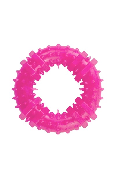 Agility Dog toy, Ring shape with spikes, 9 cm, pink