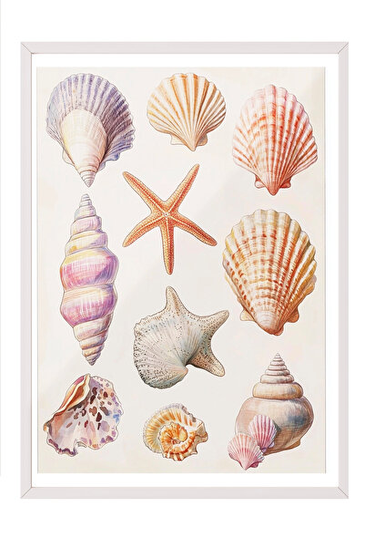 Zestia Tablou în ramă albă, Perlele Naturii – Detalii estetice ale cochiliei ...