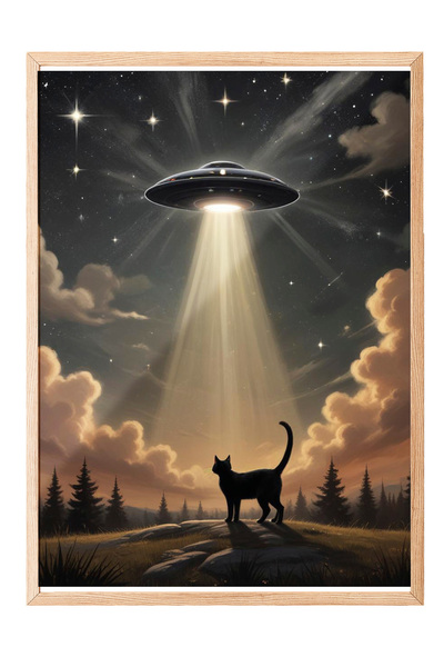 Zestia Tablou înrămat din lemn, Pisică și OZN, Poster cu tematică de răpire p...