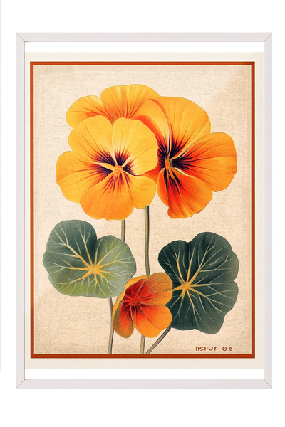 Zestia Картина с бяла рамка, оранжево-виолетова, винтидж илюстрация с цветя П...
