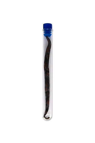 bitki diyarı عصا الفانيليا 1 قطعة