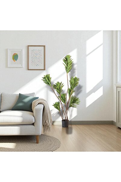 Leafora شجرة ليفستونا - 150 سم