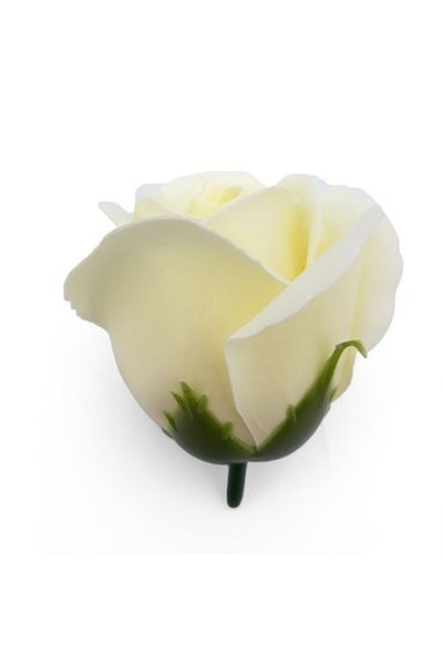 OEM Trandafiri de săpun bej deschis, 50 buc/cutie, 5x6 cm