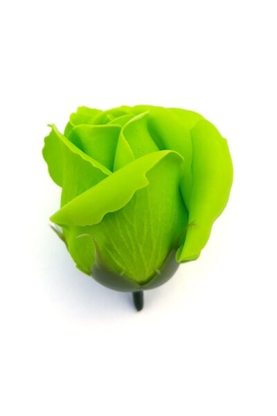 OEM Trandafiri verzi din săpun, 50 buc/cutie, 5x6cm