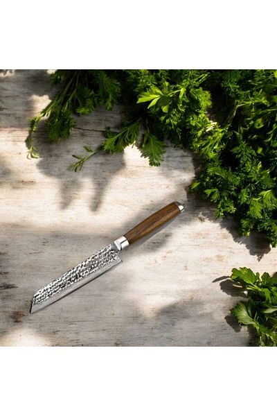 Fixxia Japanese Kiritsuke Damascus knife 21.5 cm – Professional kitchen knife